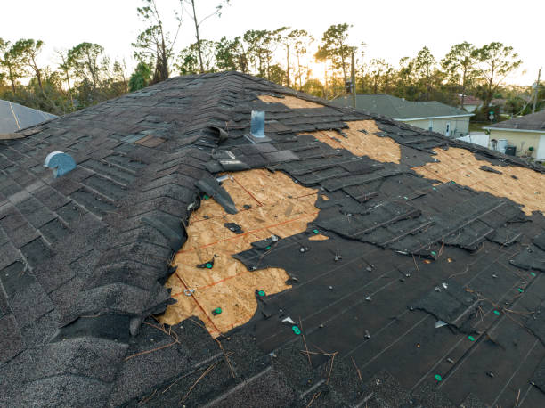 Best Storm Damage Roof Repair  in West Freehold, NJ